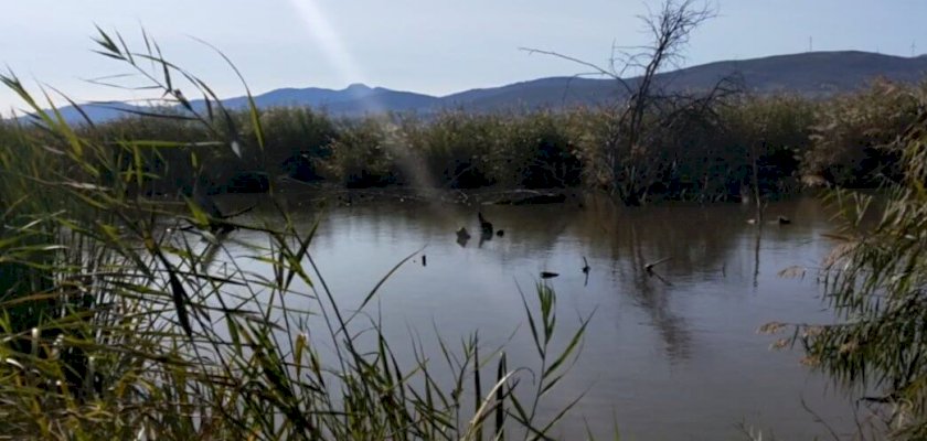 «Ruta del Mamut» por la Laguna del Padul