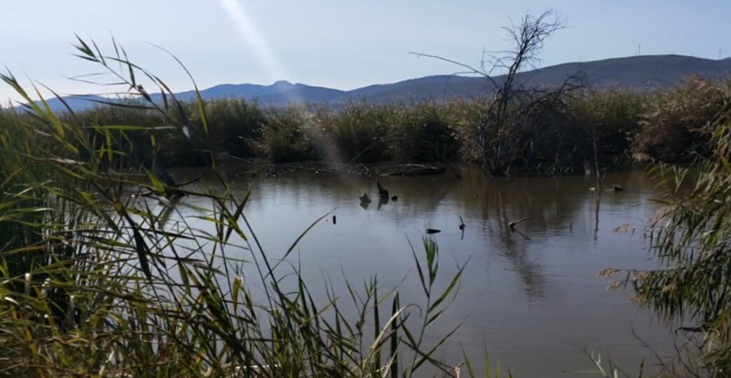 «Ruta del Mamut» por la Laguna del Padul