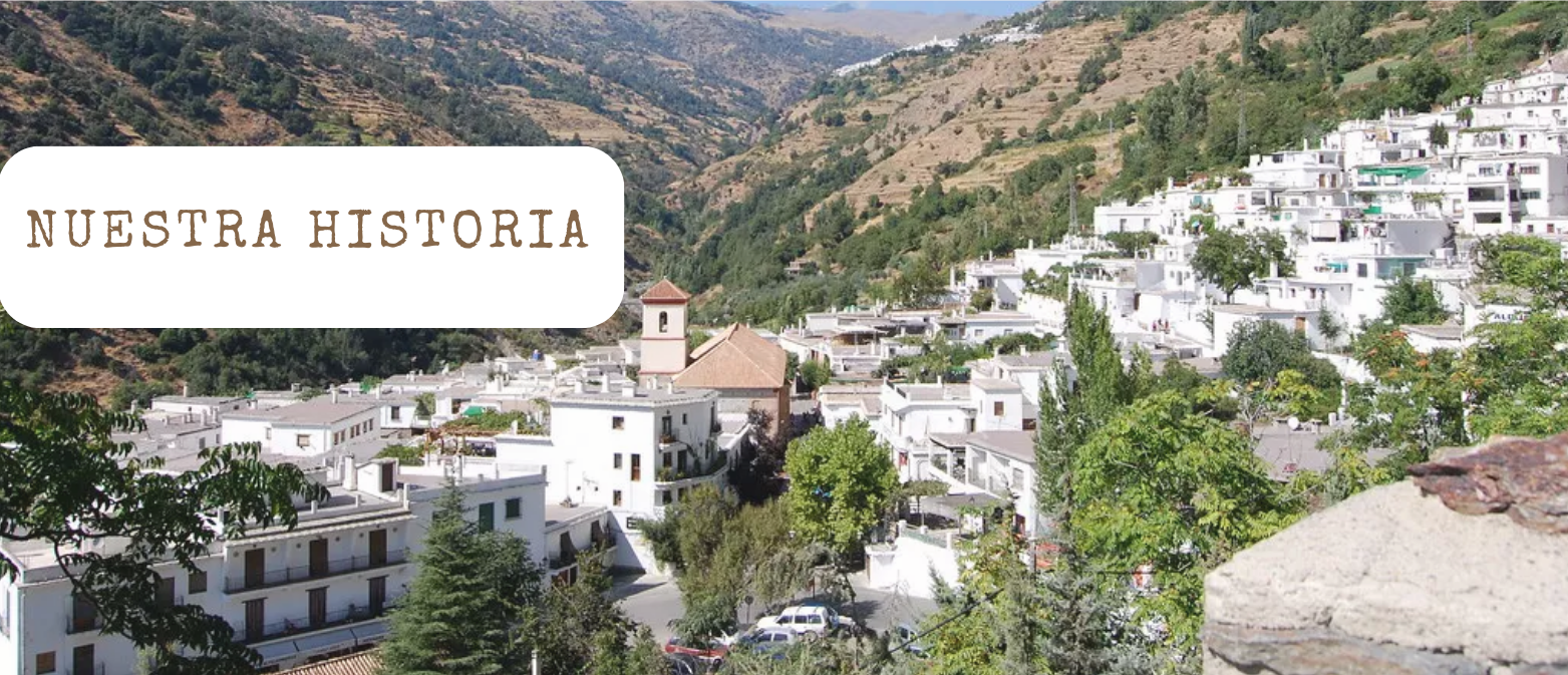 HISTORIA DEL VALLE DE LECRÍN
